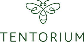 Tentorium