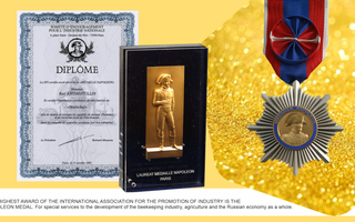 Awards and Achievements of TENTORIUM®