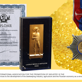 Awards and Achievements of TENTORIUM®