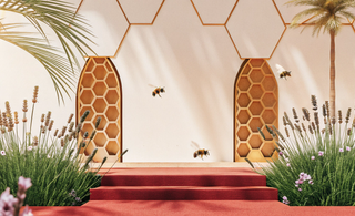 Why Apitherapy Is Gaining Popularity in the Middle East