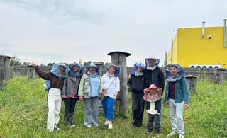How to Choose Real Honey in the UAE: A Buyer's Checklist